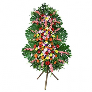 �󼼳��뺸��