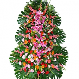 �󼼳��뺸��