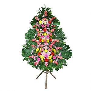 �󼼳��뺸��