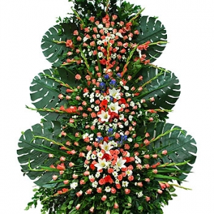 �󼼳��뺸��