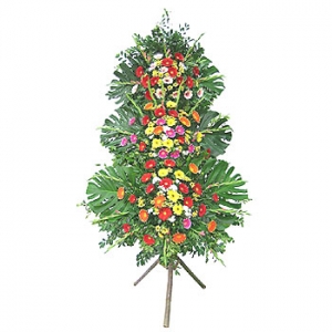 �󼼳��뺸��