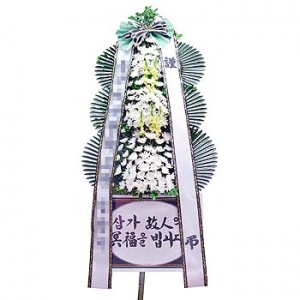 �󼼳��뺸��