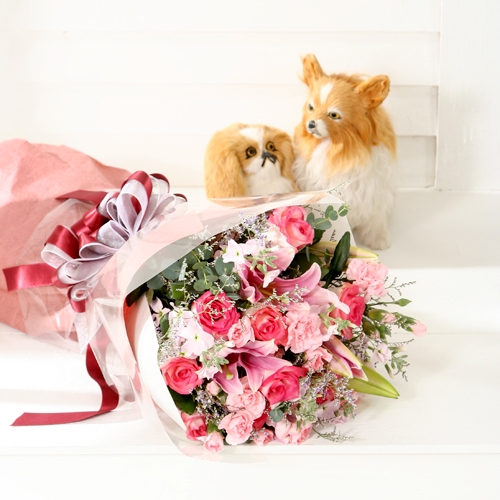 �󼼳��뺸��