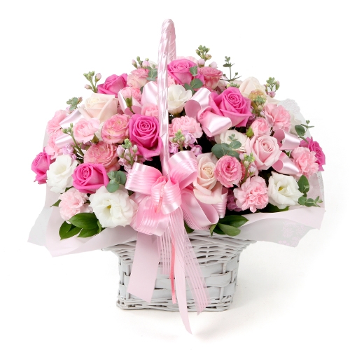 �󼼳��뺸��