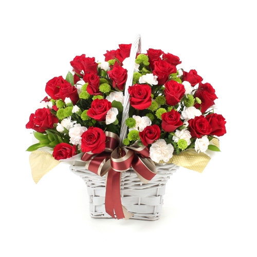 �󼼳��뺸��