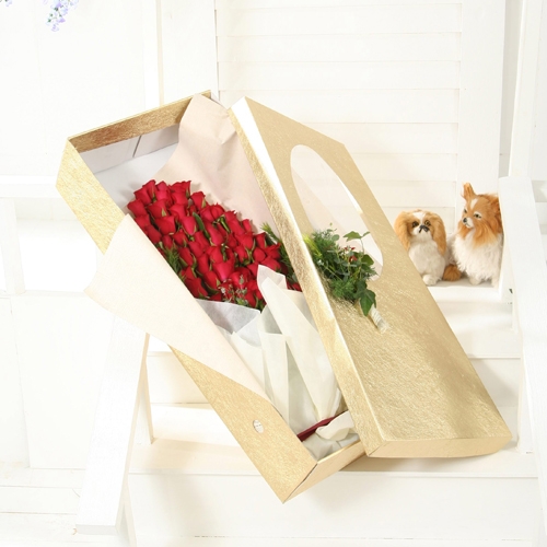 �󼼳��뺸��