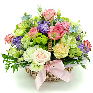 �󼼳��뺸��