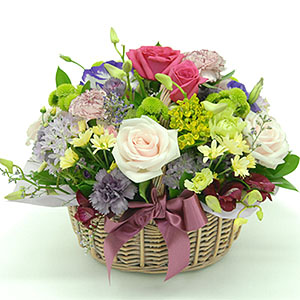 �󼼳��뺸��