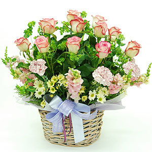 �󼼳��뺸��