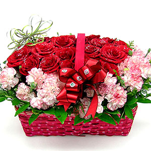 �󼼳��뺸��