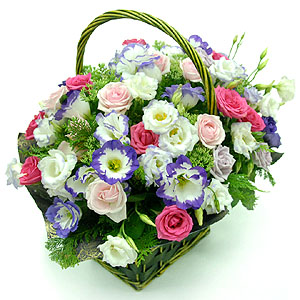 �󼼳��뺸��