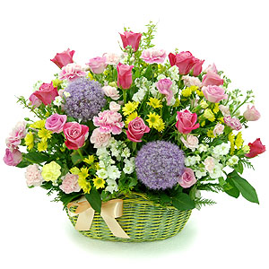 �󼼳��뺸��