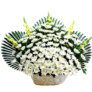 �󼼳��뺸��