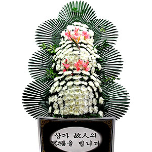 �󼼳��뺸��