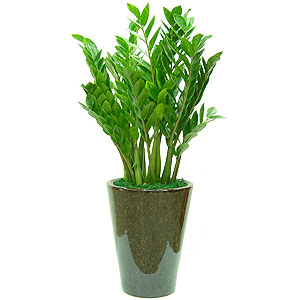 �󼼳��뺸��