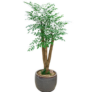 �󼼳��뺸��