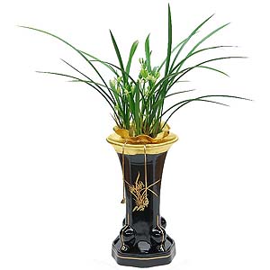 �󼼳��뺸��