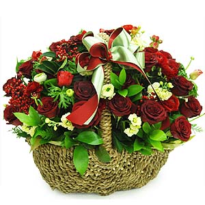 �󼼳��뺸��