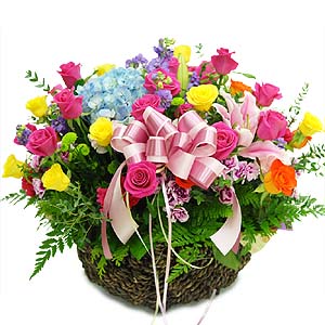 �󼼳��뺸��