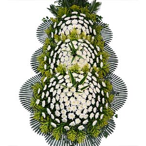 �󼼳��뺸��