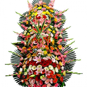 �󼼳��뺸��