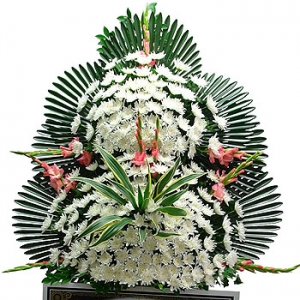 �󼼳��뺸��