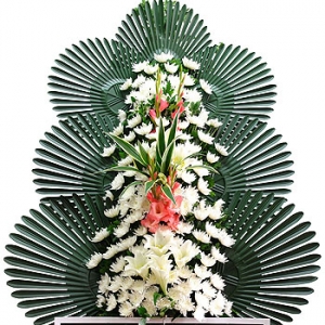 �󼼳��뺸��