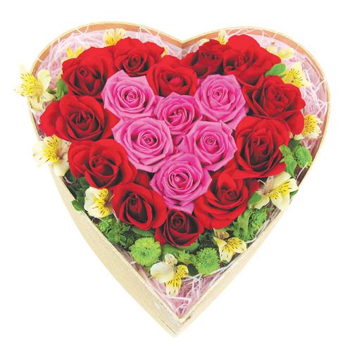 �󼼳��뺸��